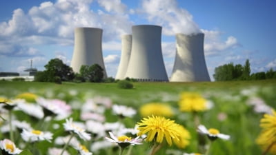 ‘원전=그린 에너지?’ 세계는 지금 뜨거운 논쟁 중