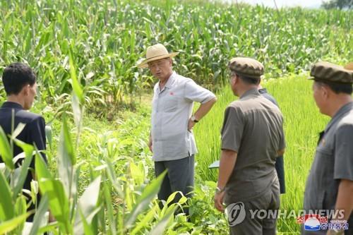 "북한 남포항에 식량 추정 포대 포착…베트남에도 요청한 듯"