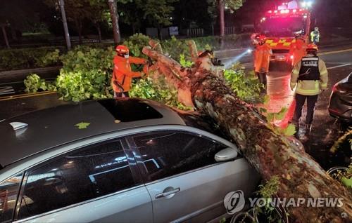 [태풍 힌남노] 경기도 시설피해 97건…도로·주차장 통제 170곳