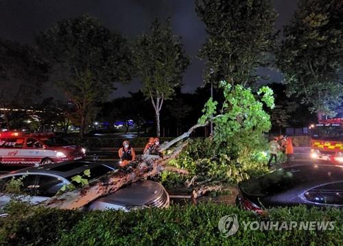 [태풍 힌남노] 경기도 시설피해 97건…도로·주차장 통제 170곳