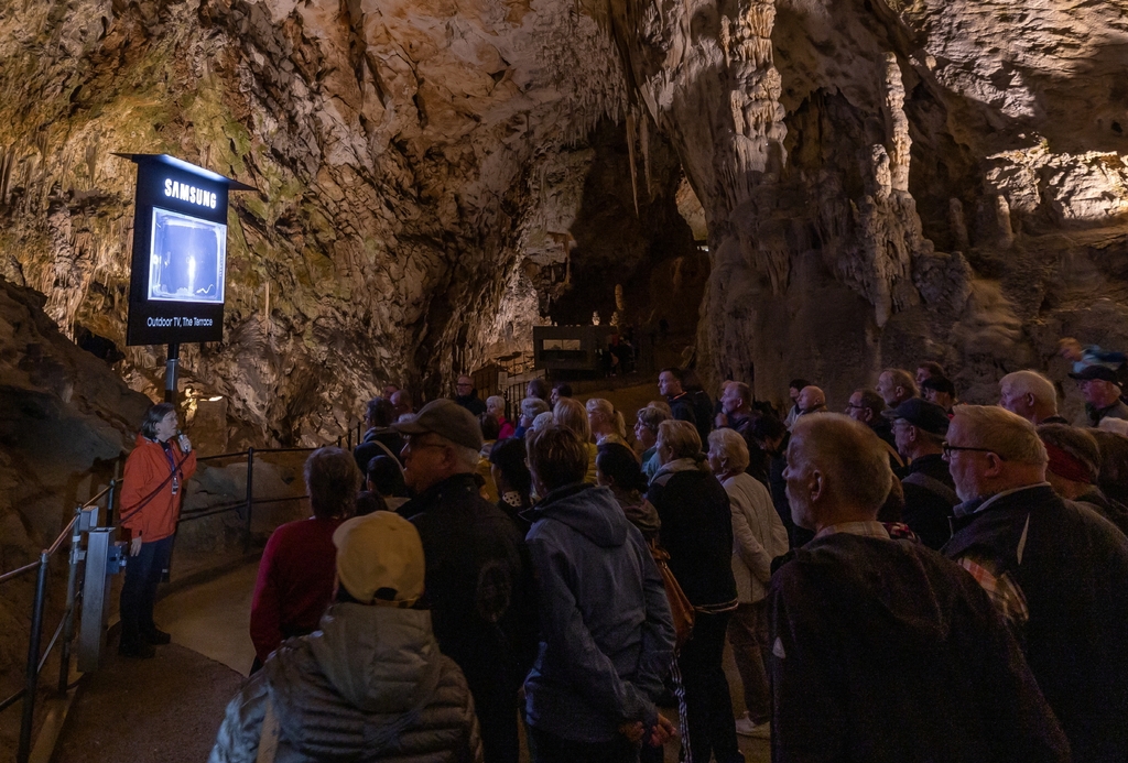 슬로베니아 동굴 안에 설치된 삼성 TV…용 닮은 희귀동물 관찰