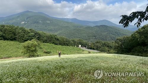 전국 명소마다 초가을 정취 즐기려는 나들이객 '북적'