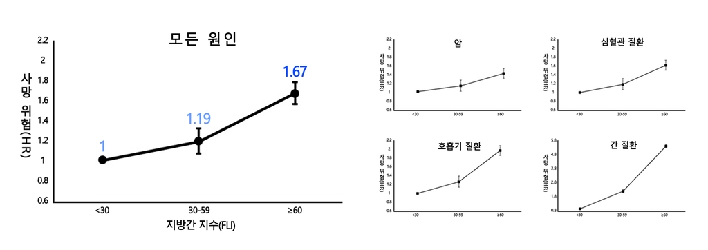 "비알코올성 지방간 심할수록 사망위험 높다"