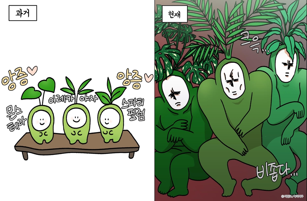 '크레이지 가드너' 마일로 작가 "식물기르기, 인간의 본능 같아"