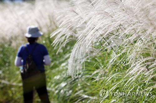 초가을 날씨에 유명 산·공원 '북적'…전국 행사장도 성황