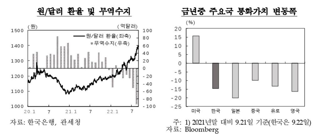 한은 "물가 상당기간 5∼6%대…환율, 물가상승 추가 압력"