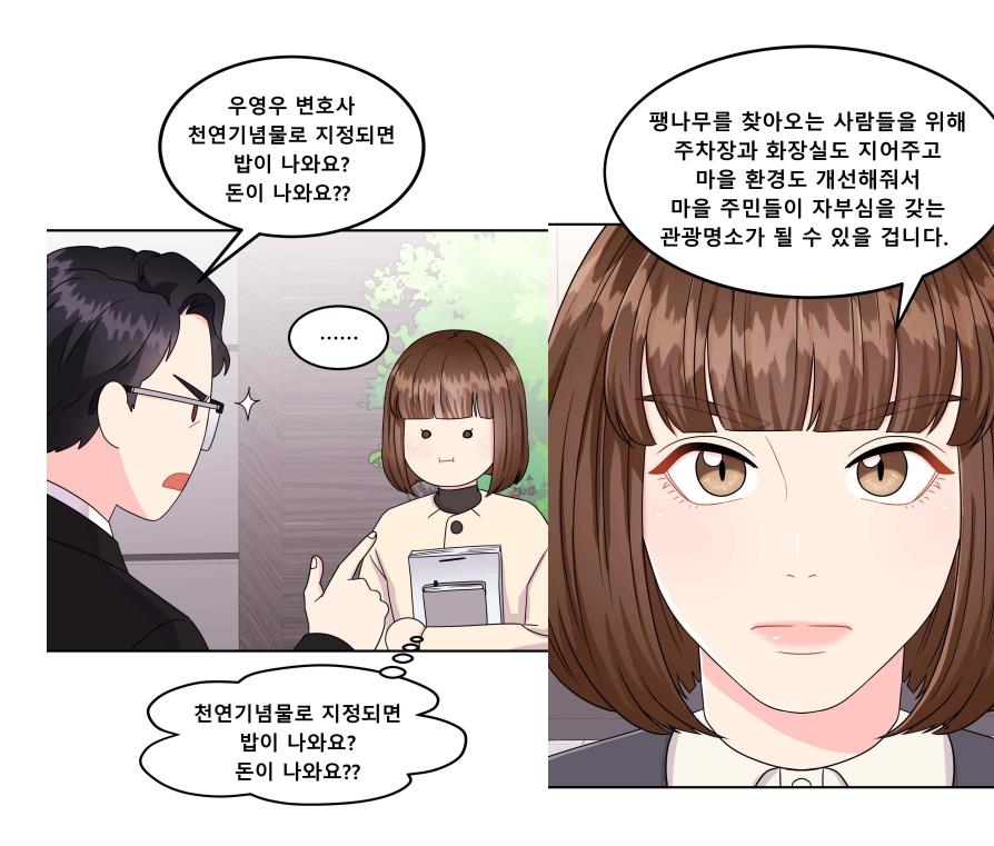 드라마처럼 '우영우 팽나무' 천연기념물 됐다…내달 7일 고시