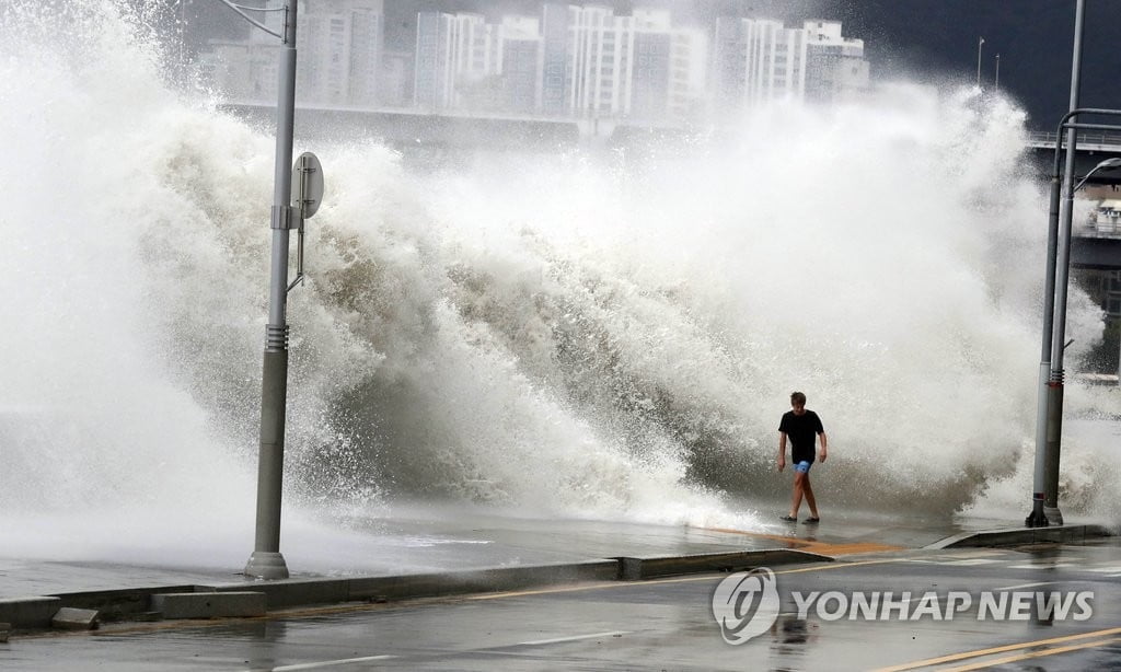 돌 날려 통유리 박살…부산 해안가 초고층 '초긴장'