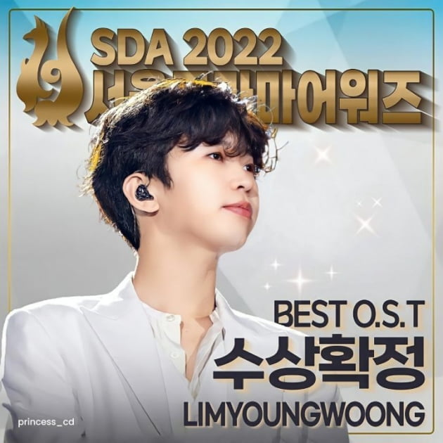 가수 임영웅, SDA 2022 BEST O.S.T 투표 1위 수상 확정…최고 대세 증명
