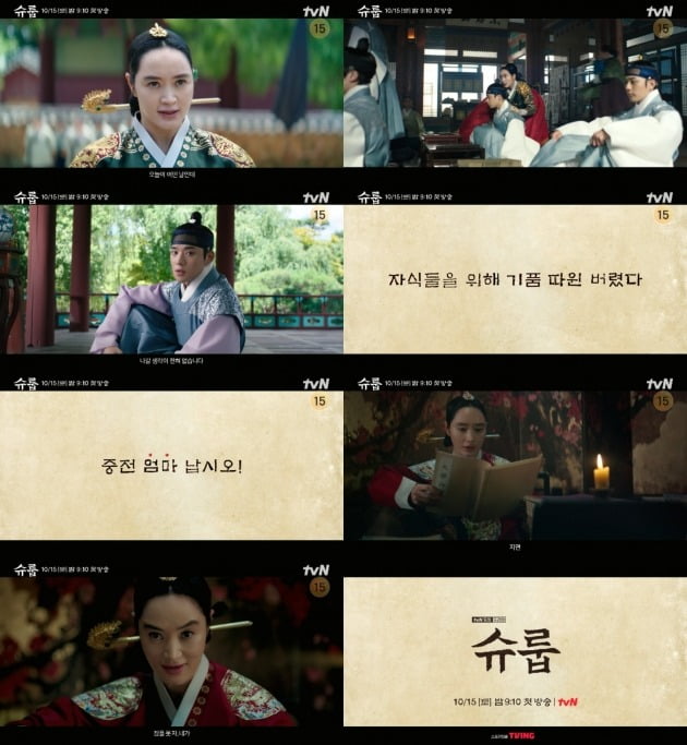 사진=tvN '슈룹' 3차 티저영상 캡처