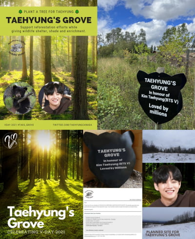 태형숲 조성한 BTS 뷔 캐나다 팬들, 야생동물 재활 도와