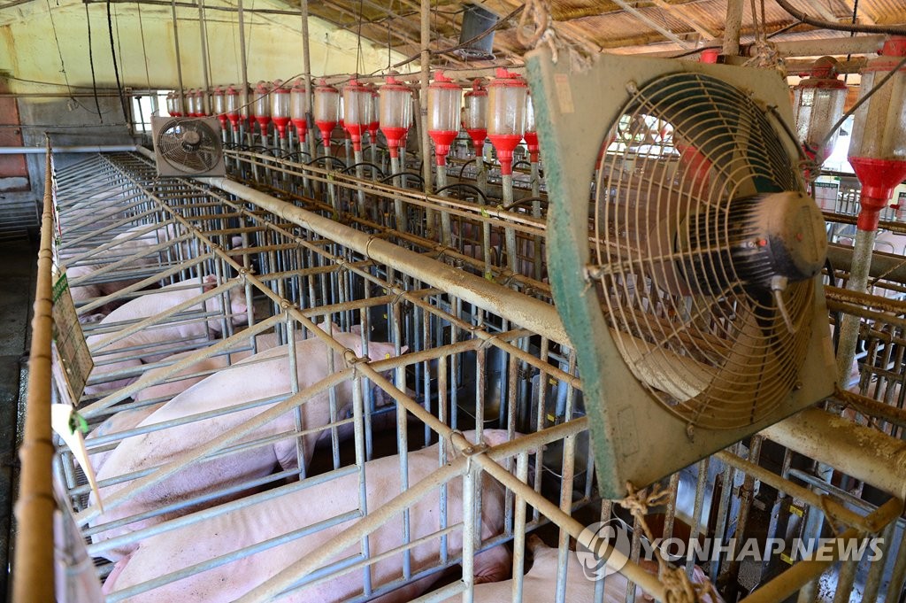 충남 청양 돈사 분뇨처리장서 작업하던 근로자 2명 사망