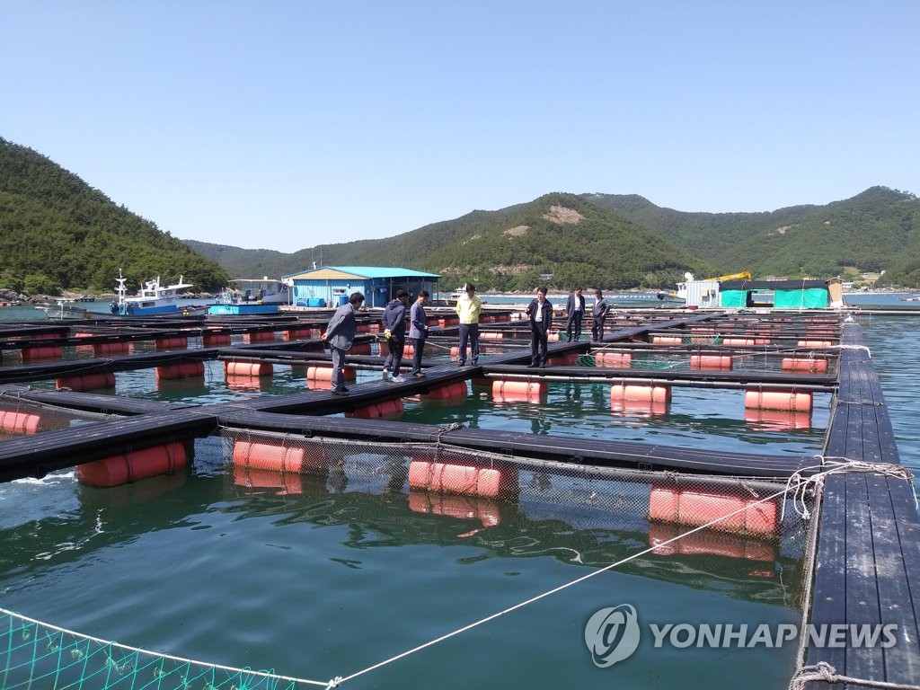 [태풍 힌남노] 전국 최대 해상가두리 양식장 밀집지 경남 비상