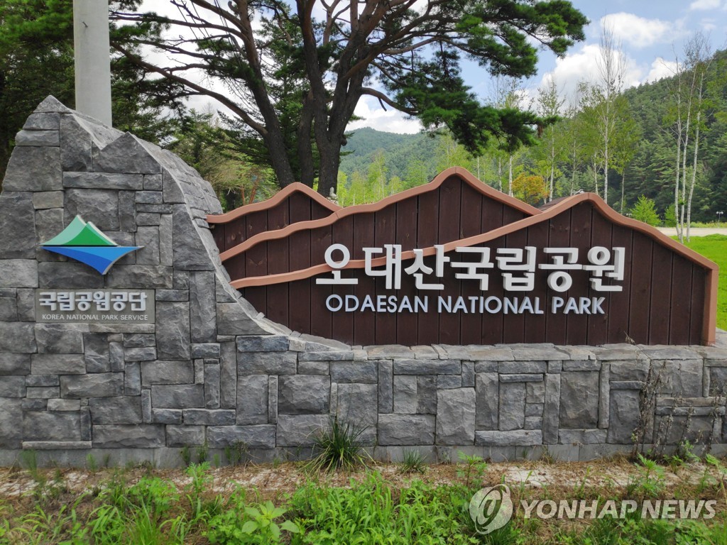 태풍 힌남노 오대산국립공원 야영장·탐방로 4∼8일 통제 | 한국경제