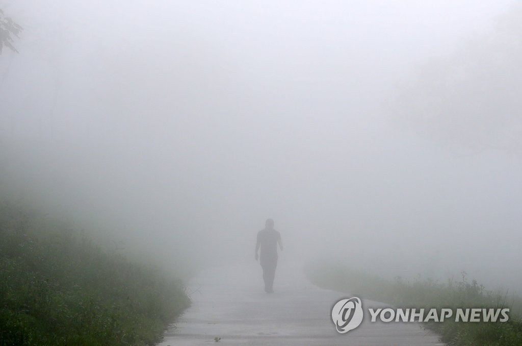 강원 내륙·산지 짙은 안개…동해안 너울 주의