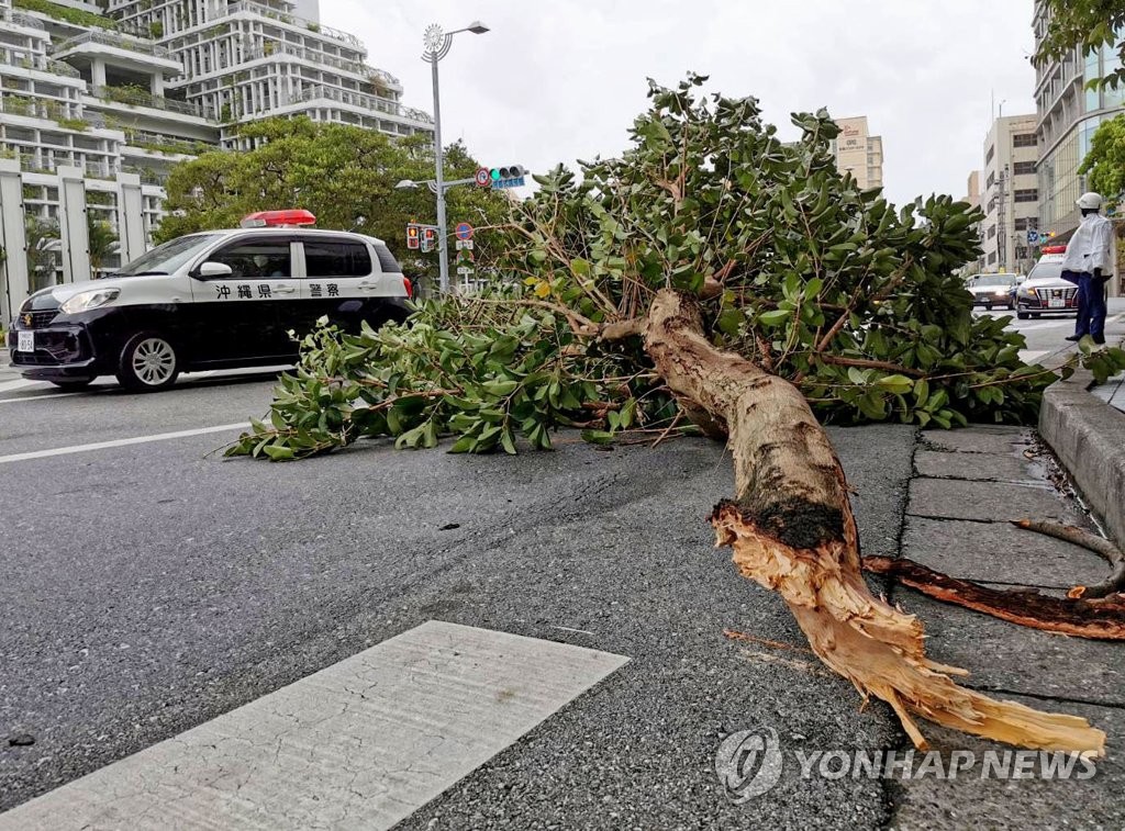 [태풍 힌남노]    対馬で風速44.7m…死者2人、通信障害（全世界）