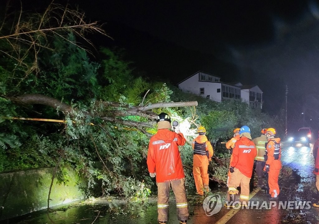 [태풍 힌남노] 전북에 거센 비바람, 나무 쓰러지고 정전 …인명피해 없어