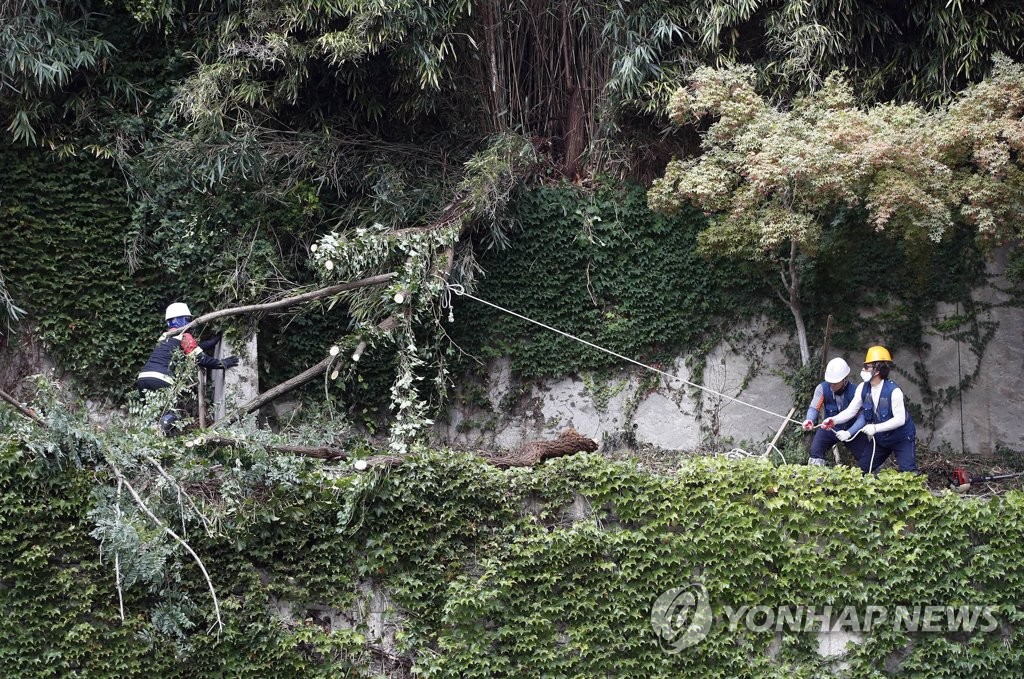 "우리 다시 시작해요"…절망 딛고 전국 곳곳서 복구 본격화