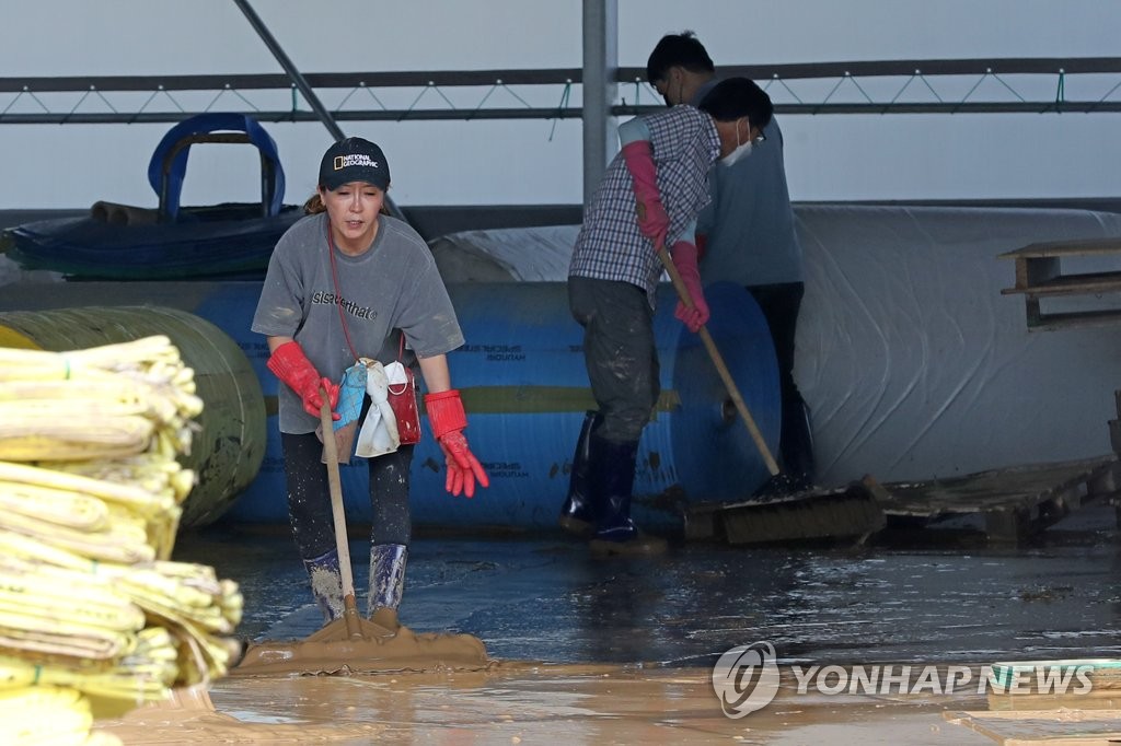 포항국제불빛축제 잠정 연기…"태풍 피해 복구 집중"