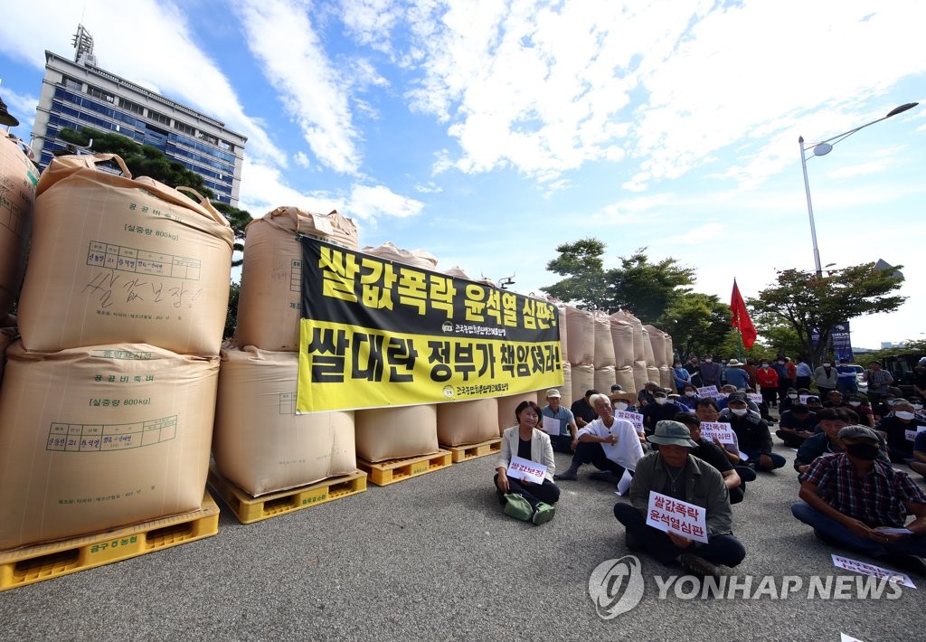 분노하는 '농심' 전국 확산…벼 갈아엎기·시위 연일 이어져