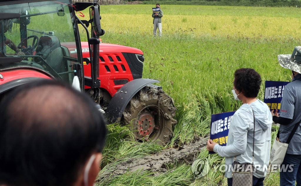 분노하는 '농심' 전국 확산…벼 갈아엎기·시위 연일 이어져