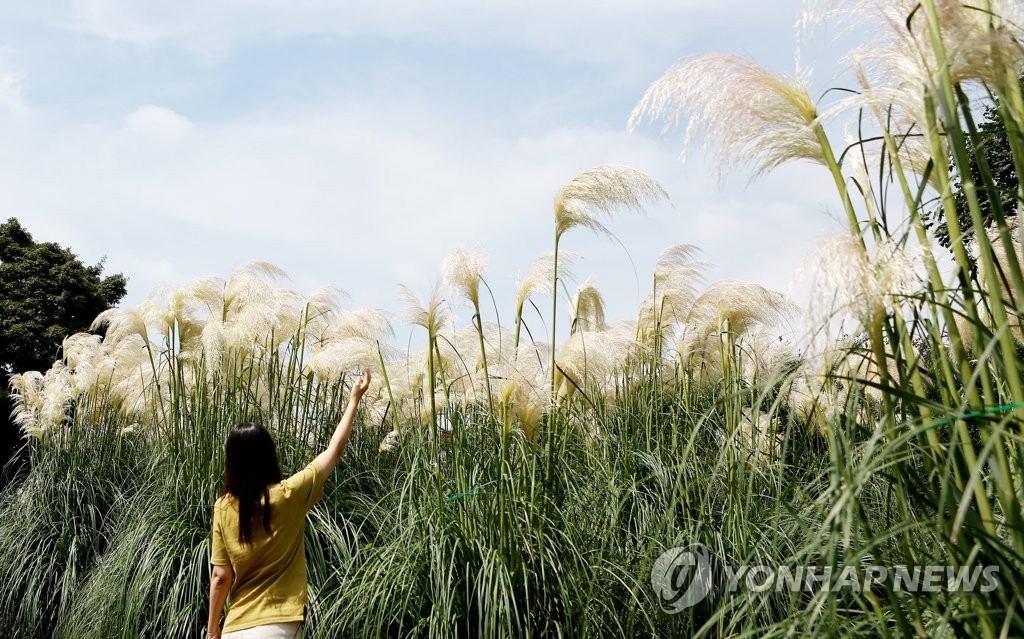 전국 명소마다 초가을 정취 즐기려는 나들이객 '북적'