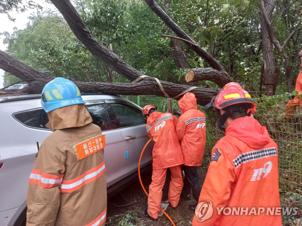 강풍에 골프장 철탑도 '쿵'…난마돌 스쳐 간 영남권 적잖은 상흔(종합2보)