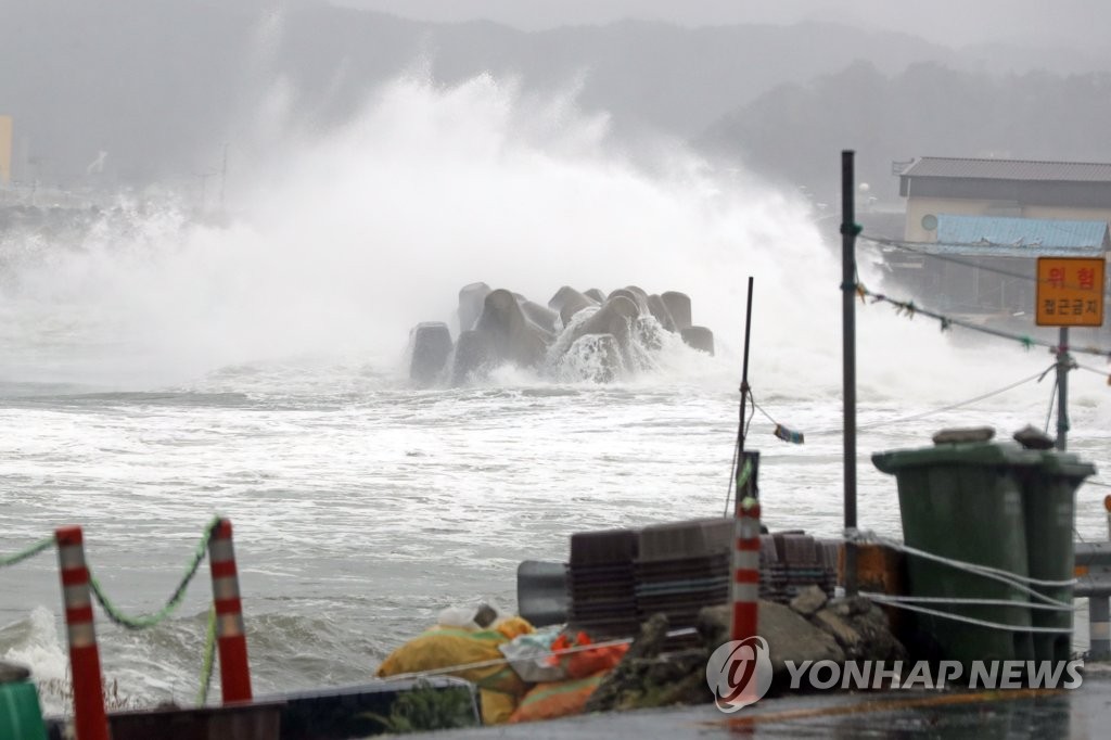 포항·경주 큰 피해 없어…강풍으로 가로수·유리창 파손(종합)