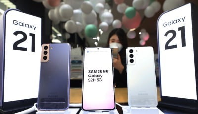 "아이폰14 온다" 다급한 삼성, 갤S21 '재고떨이' 나섰다