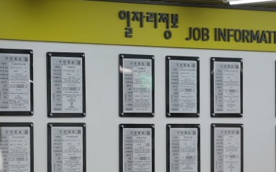 [속보] 8월 취업자 80만7000명↑…3개월 연속 증가폭 둔화