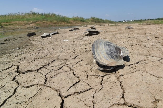 중국 장쑤성 동부 난징의 한 호수가 가뭄으로 바닥을 드러낸 채 말라 있다. /연합뉴스