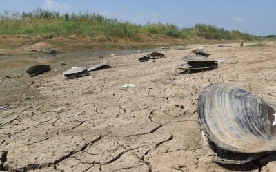 코로나 봉쇄에 폭염·가뭄까지…중국 61년만에 가장 더웠다