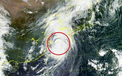 태풍 '힌남노' 북상에…전자업계 '비상 대응'