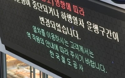 코레일, 고속철도 및 모든 열차 운행재개