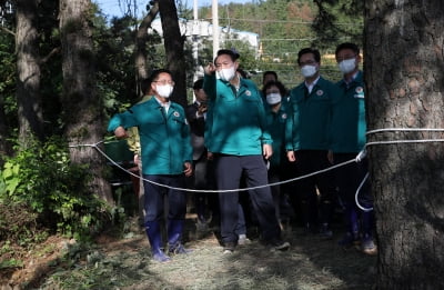 [속보] 윤대통령, 포항·경주 '힌남노' 특별재난지역 선포