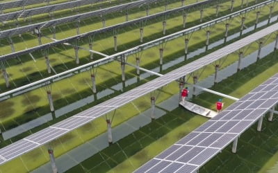 중국 태양광 발전용량, 처음으로 풍력 앞서…규모의 경제 실현
