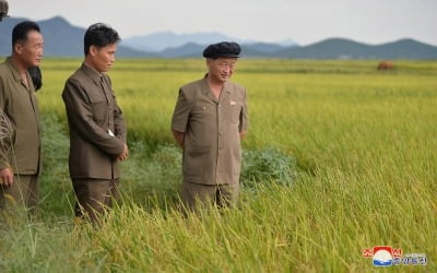 美 농무부, 올해 북한 주민 10명 중 7명 식량부족 추산