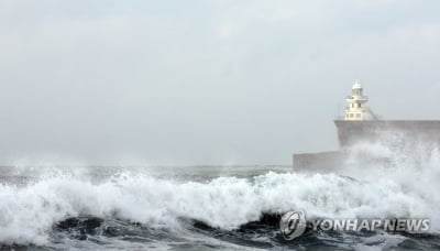 [태풍 힌남노] 대구·경북 5일밤 영향권…대구공항 모든 노선 결항