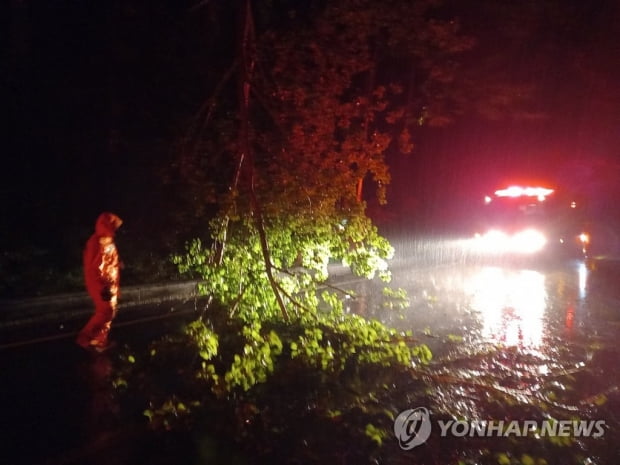 제주 도착한 '힌남노' 전국 태풍 경보 격상…피해 잇따라