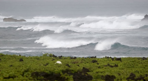 台風ひん南の対馬 風速447mの強風…死者2人、通信障害