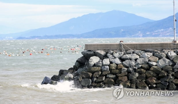 '힌남노 비상' 상황서 단체 회식한 법무부 직원들…경위 파악 중