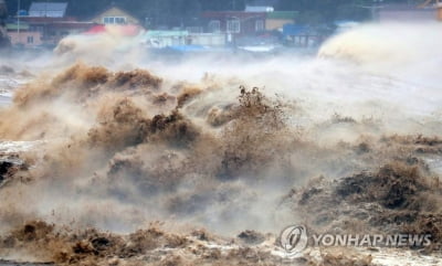 [르포] 짙푸르던 포항 바다, 흙탕물 됐다…주민 "이런 태풍 처음"