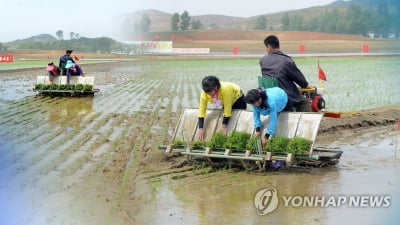 北, 추수철 식량확보 총력…"새 시대 열려면 뭐니뭐니해도 쌀"