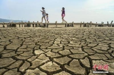 중국 중·남부 33일 연속 가뭄 경보…타들어가는 벼 생산기지