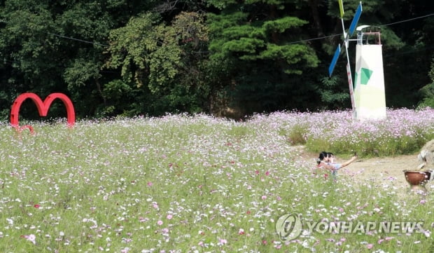 낮과 밤 길이 같아지는 '추분'…구름 많고 중부지방 한때 비