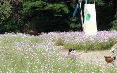 낮과 밤 길이 같아지는 '추분'…구름 많고 중부지방 한때 비