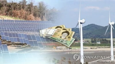 금감원, 태양광 관련 사모펀드 투자현황 전수조사