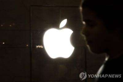 "아이폰14 예상보다 수요 낮다"…애플 주가 3%대 하락