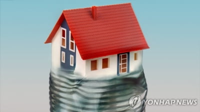 '깡통주택' 3천400여채 소유 전세사기범 일당 무더기 검거