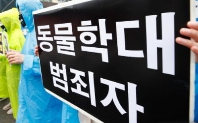 화살 쏘고, 두 눈 훼손…동물학대 늘지만 처벌은 '솜방망이' [멍냥꽁냥]